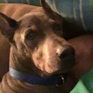 Meet your Posher, Terisa